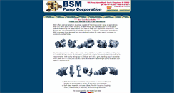 Desktop Screenshot of bsmpump.com